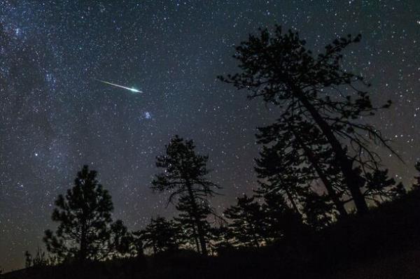 2016 Perseid Meteor Fireball Streaks Above Pine Trees