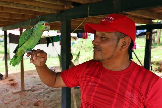 Mauricio Martínez, who returned home to Santa Marta when gravely ill with Covid-19, stands with his pet parrot beneath his wooden home.