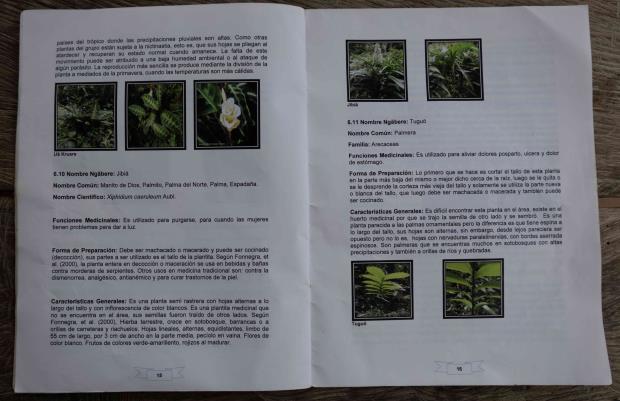 Santa Marta's shamans authored and printed a booklet that provides information, photos, names and curative properties of local medicinal plants.