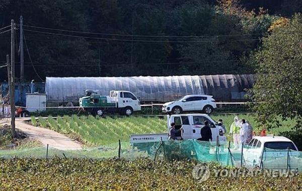 Officials co<em></em>ntrol entry to a poultry farm in Donghae, a<em></em>bout 185 kilometers east of Seoul, in this file photo taken Oct. 30, 2024, following an outbreak of highly pathogenic avian influenza. (Yonhap)